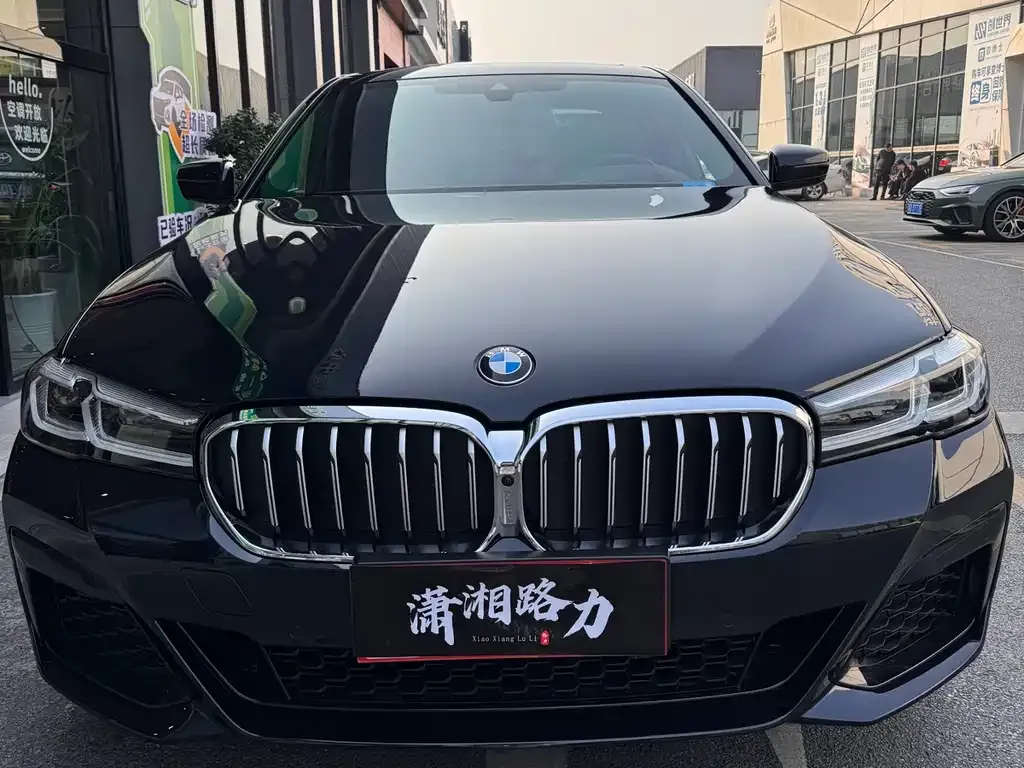 BMW 5 Series 2023 из CN, фото 2