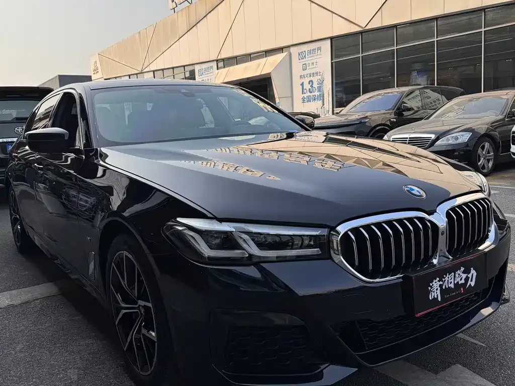BMW 5 Series 2023 из CN, фото 3