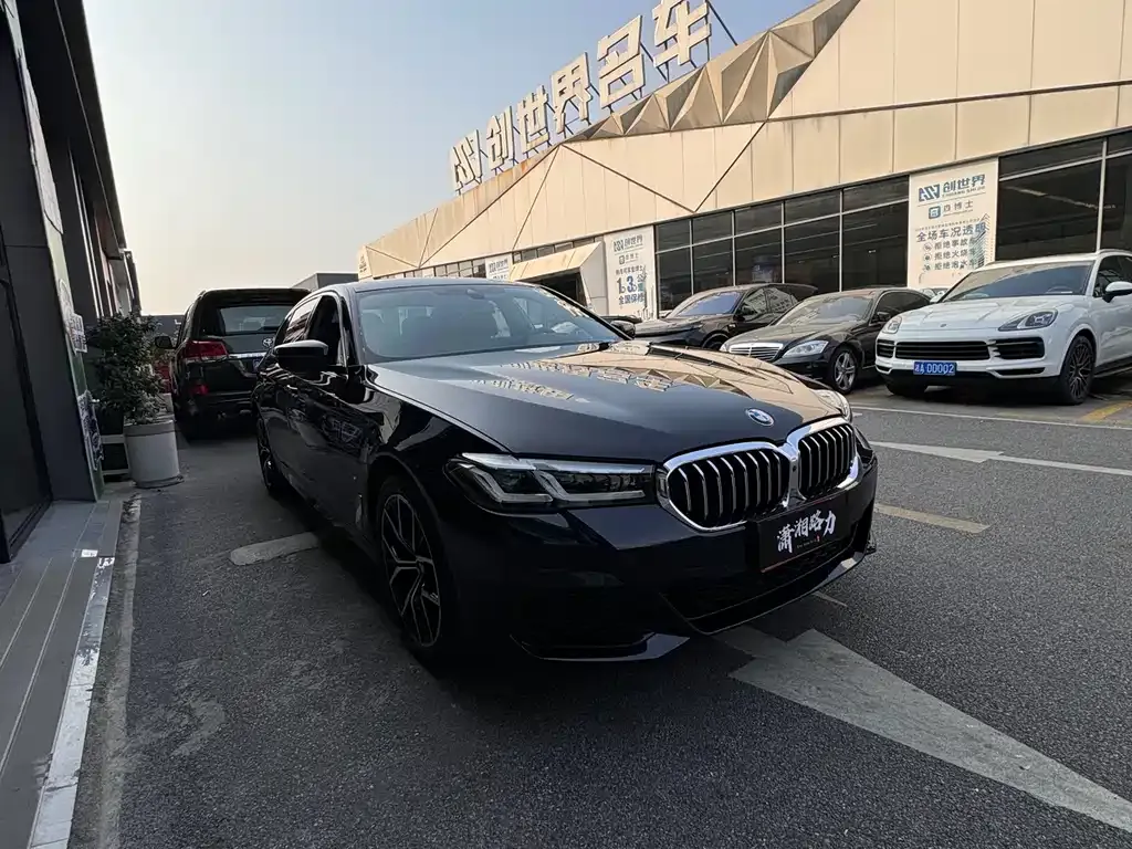 BMW 5 Series 2023 из CN, фото 5