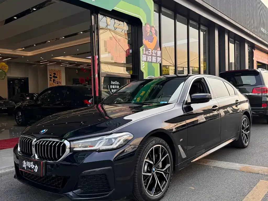 BMW 5 Series 2023 из CN, фото 9