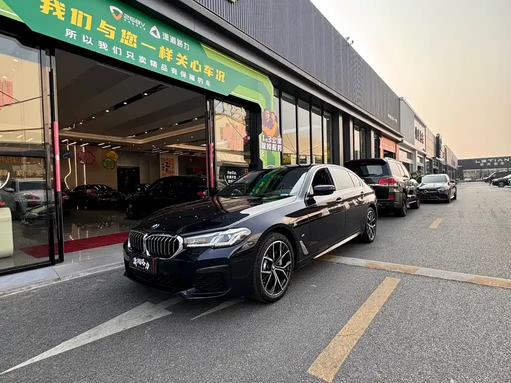 BMW 5 Series 2023 из CN, фото 10