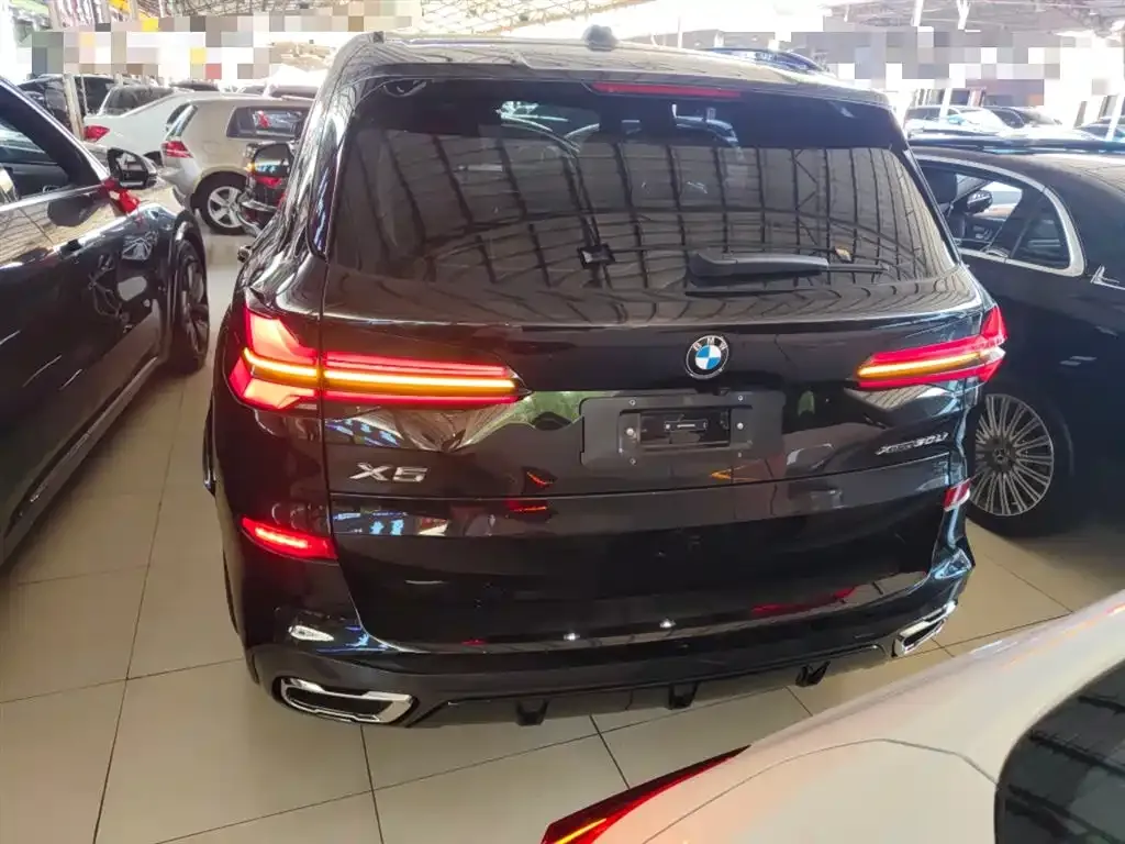 BMW X5 2024 из CN, фото 6