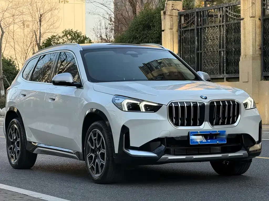 BMW X1 2023 из CN, фото 8