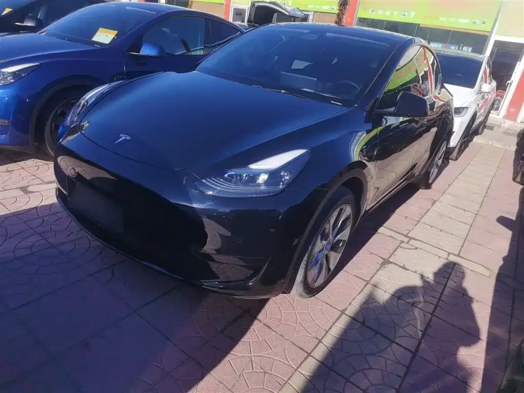 Tesla Model Y 2022 из CN, фото 1