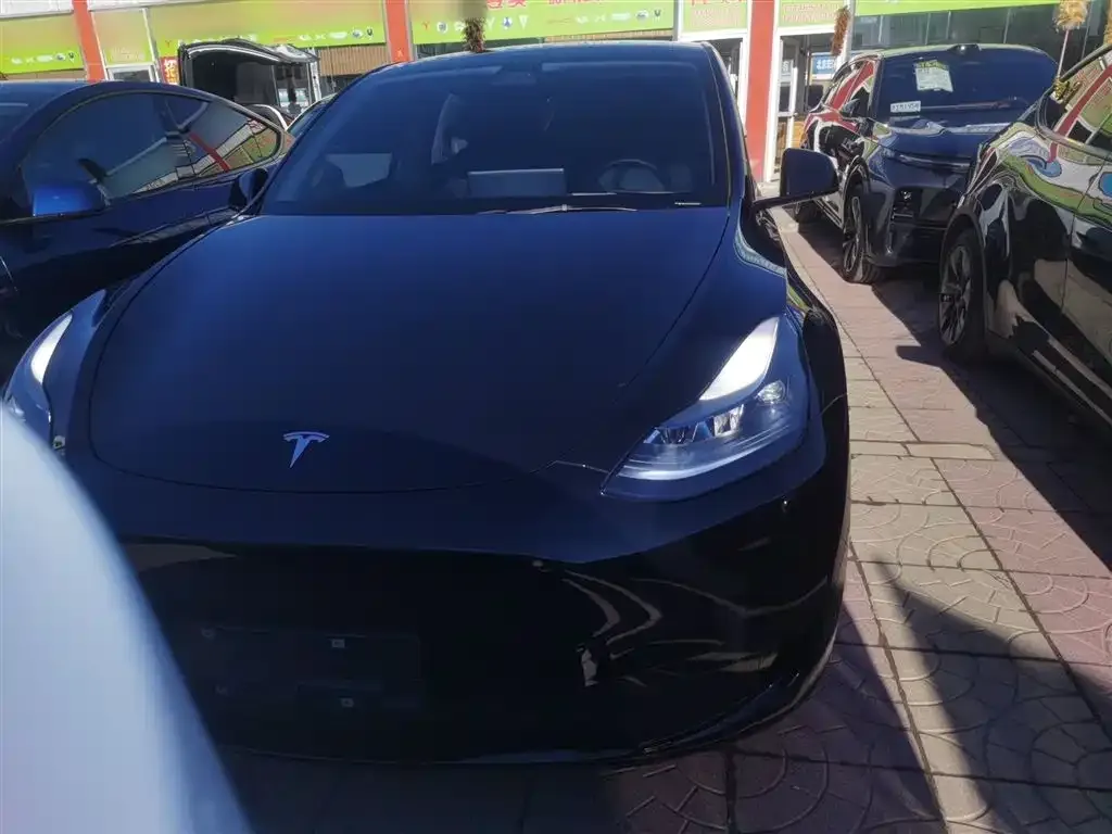 Tesla Model Y 2022 из CN, фото 3