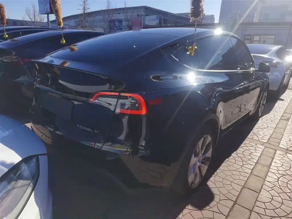 Tesla Model Y 2022 из CN, фото 10
