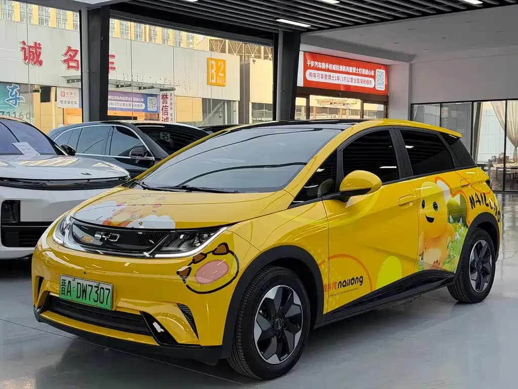 BYD Dolphin 2024 из CN, фото 1