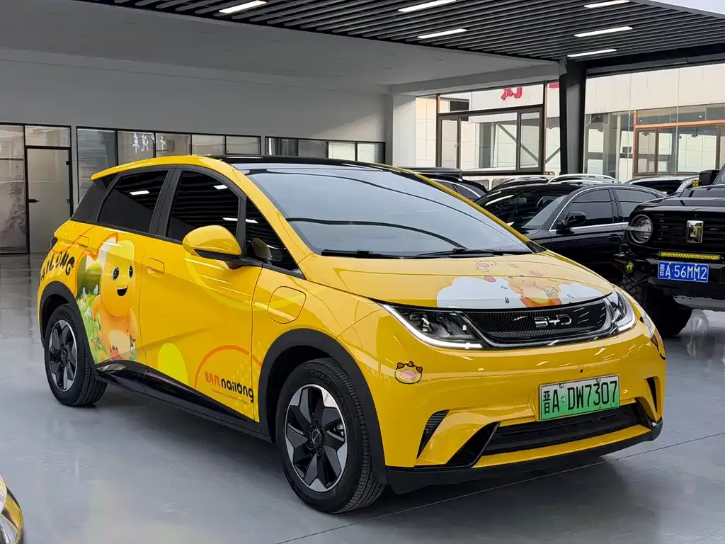 BYD Dolphin 2024 из CN, фото 7