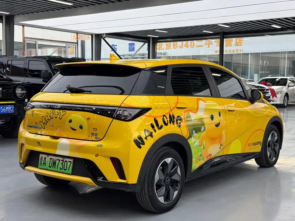 BYD Dolphin 2024 из CN, фото 9
