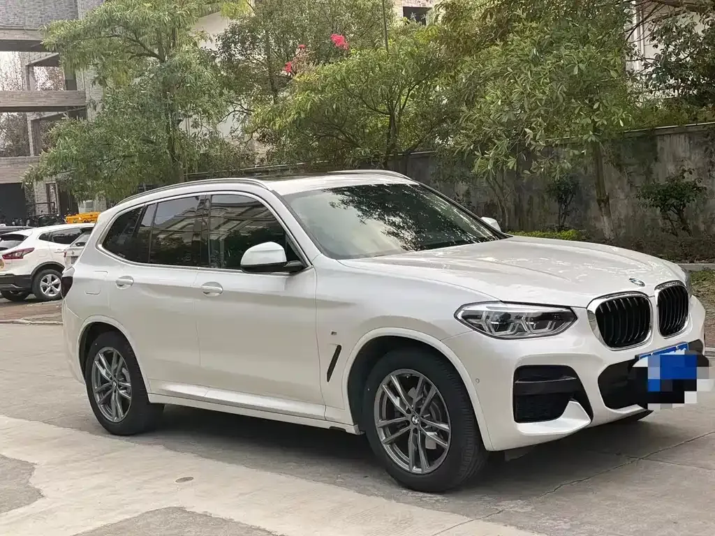 BMW X3 2021 из CN, фото 4