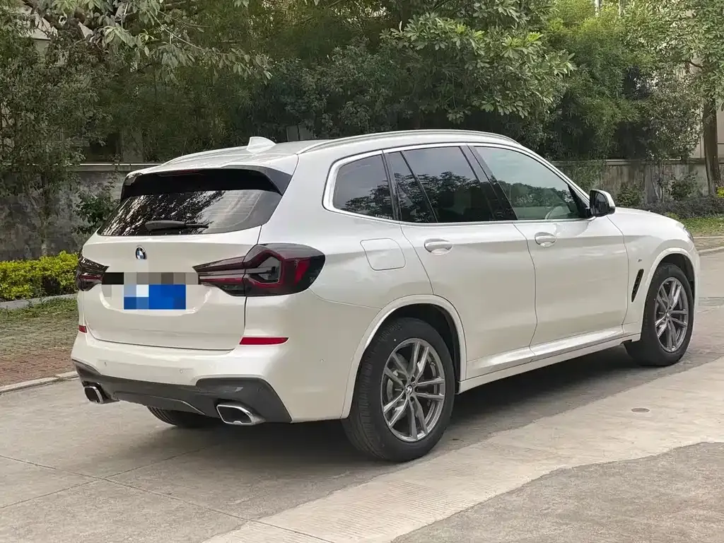 BMW X3 2021 из CN, фото 6