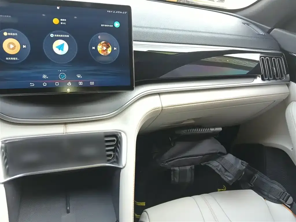 BYD PLUS New Energy — фото 10