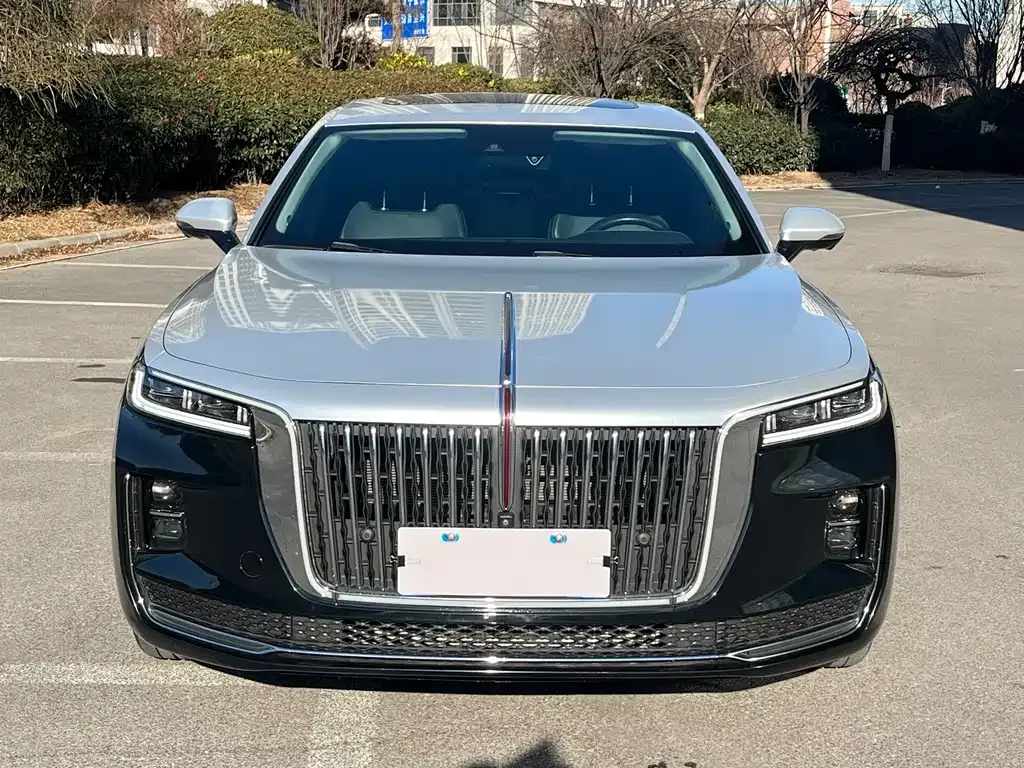 Hongqi H9 2023 из CN, фото 6