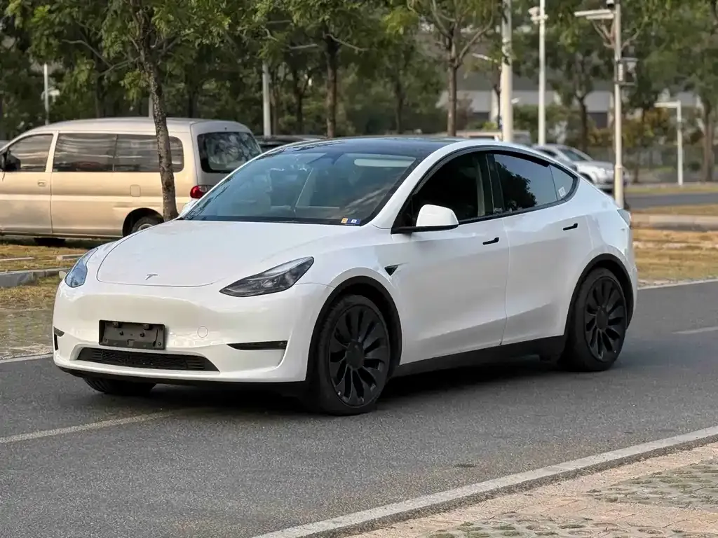 Tesla Model Y — фото 1