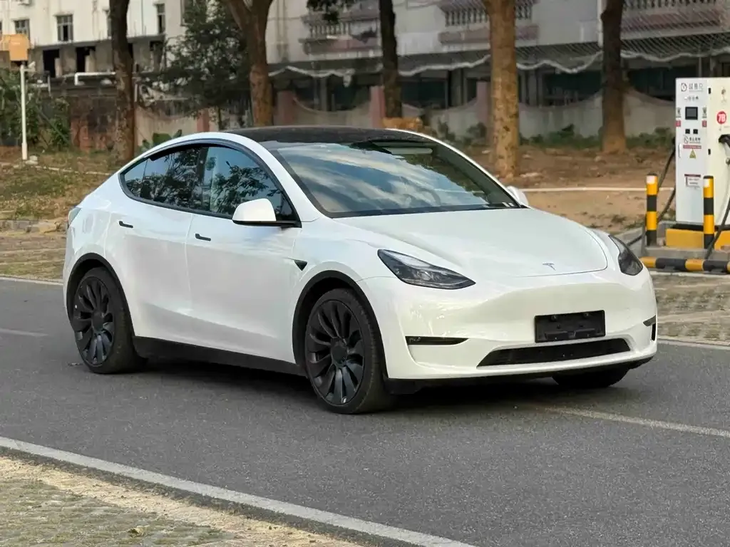 Tesla Model Y — фото 10
