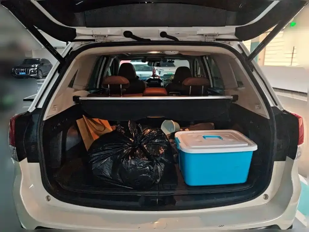 Subaru Forester 2021 из CN, фото 7