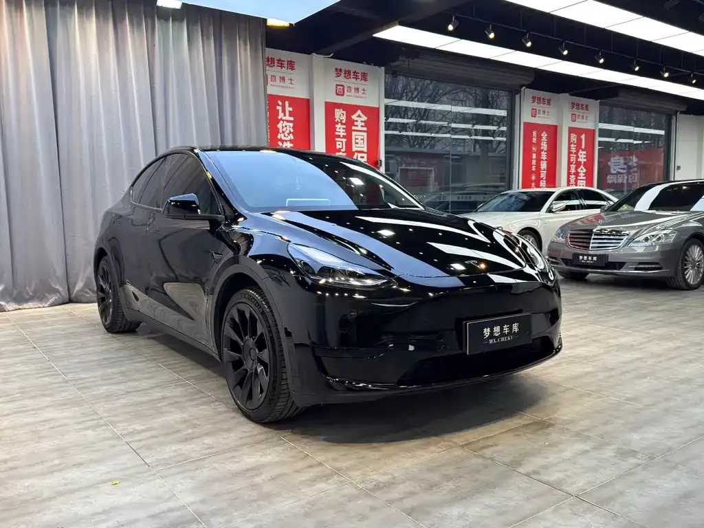 Tesla Model Y — фото 9