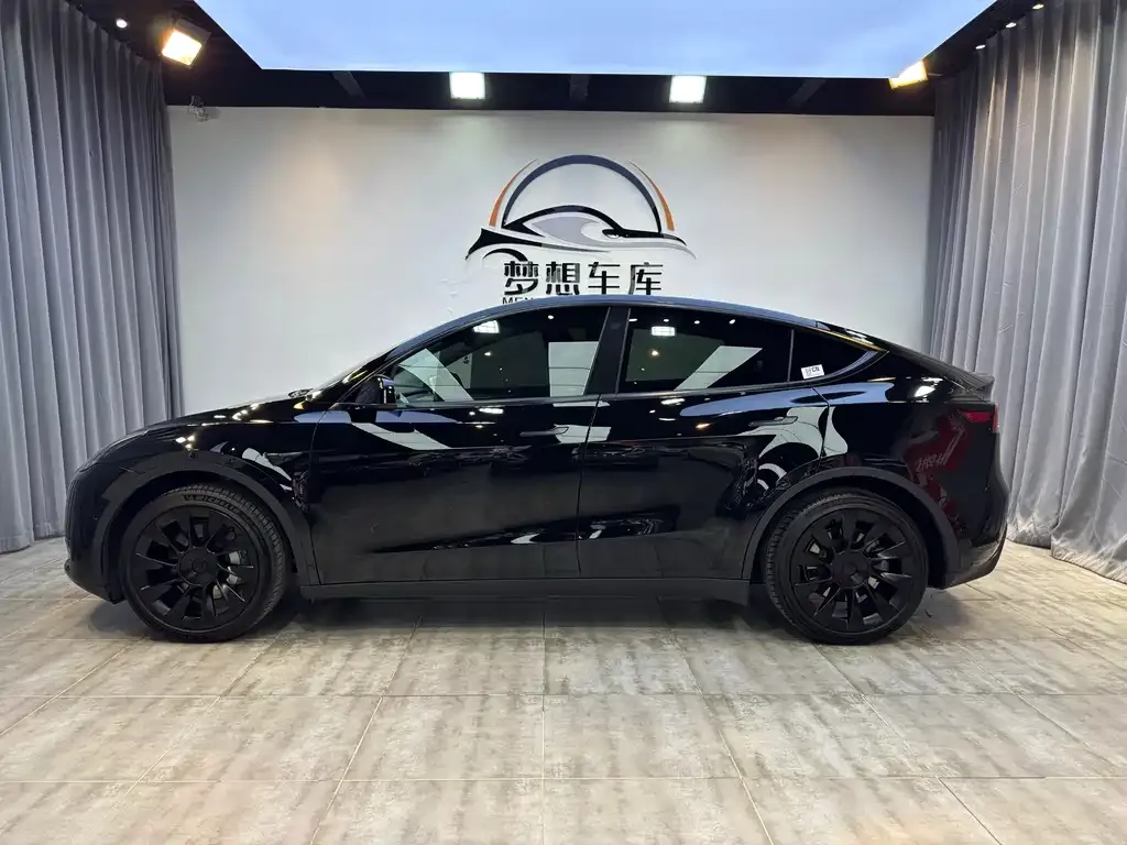 Tesla Model Y — фото 10