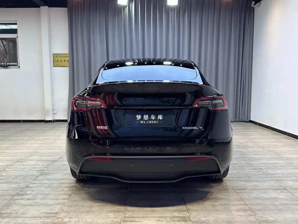 Tesla Model Y — фото 8