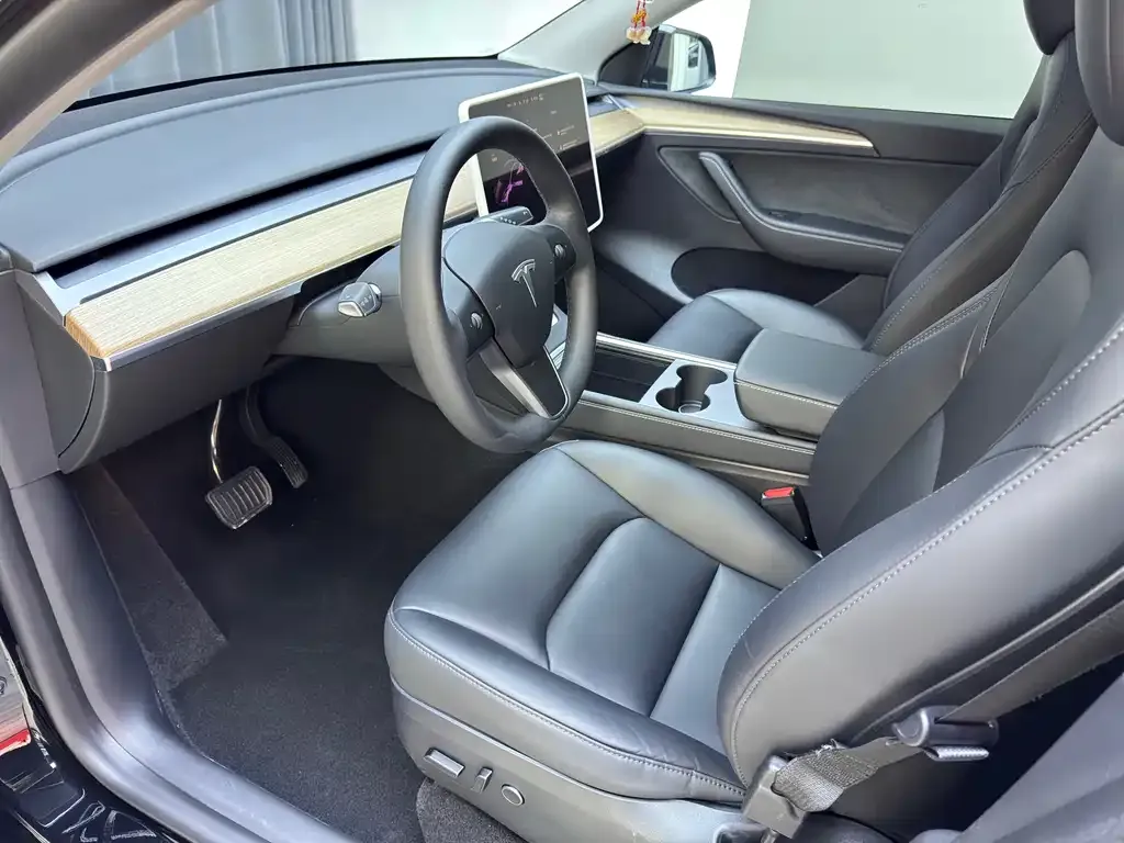 Tesla Model Y — фото 2