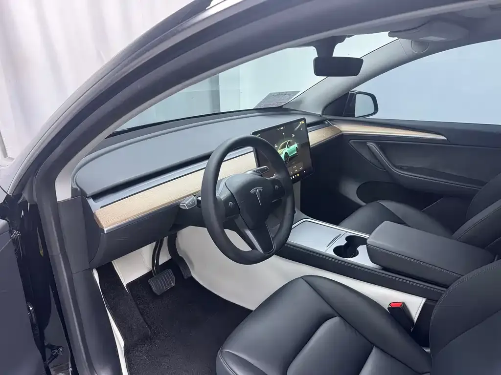 Tesla Model Y 2022 из CN, фото 9