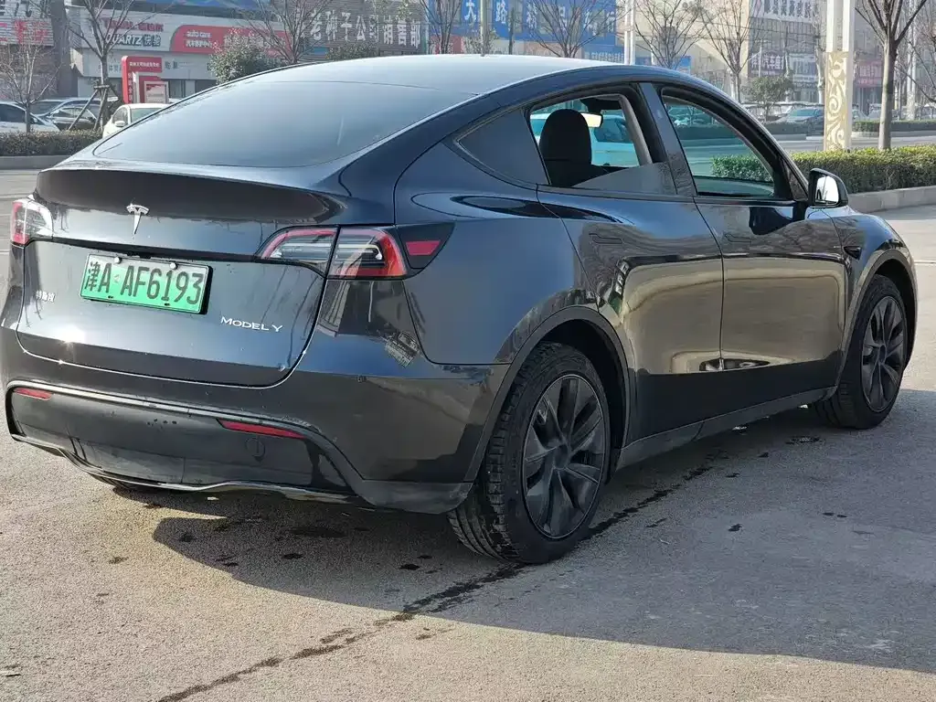 Tesla Model Y — фото 3