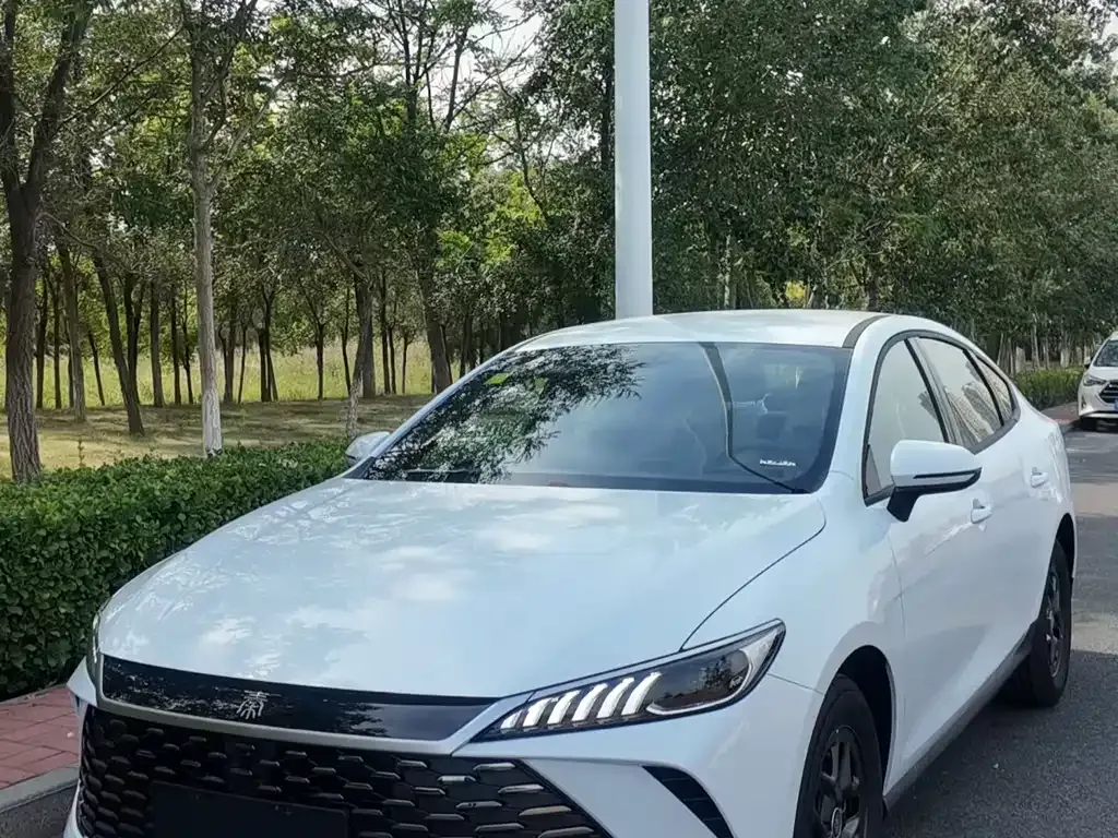BYD Qin PLUS — фото 1