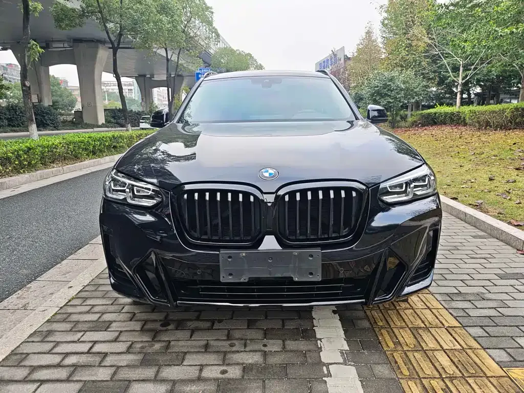 BMW X3 2022 из CN, фото 6