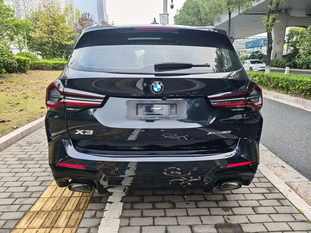 BMW X3 2022 из CN, фото 8
