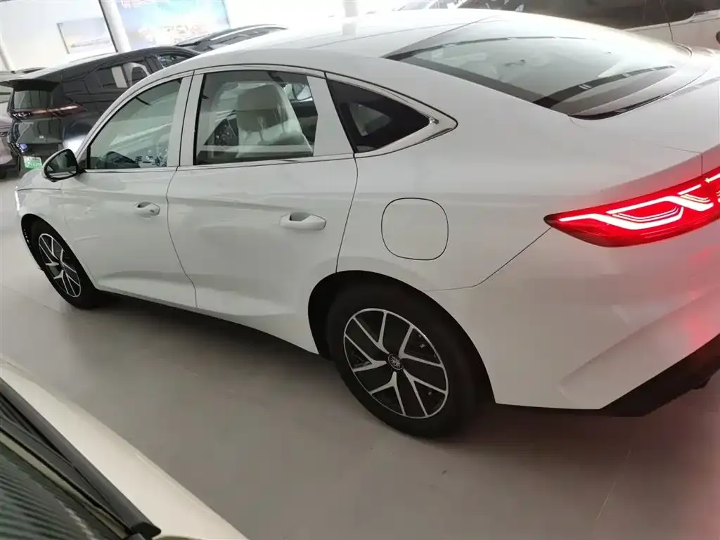 BYD Qin L 2025 из CN, фото 5