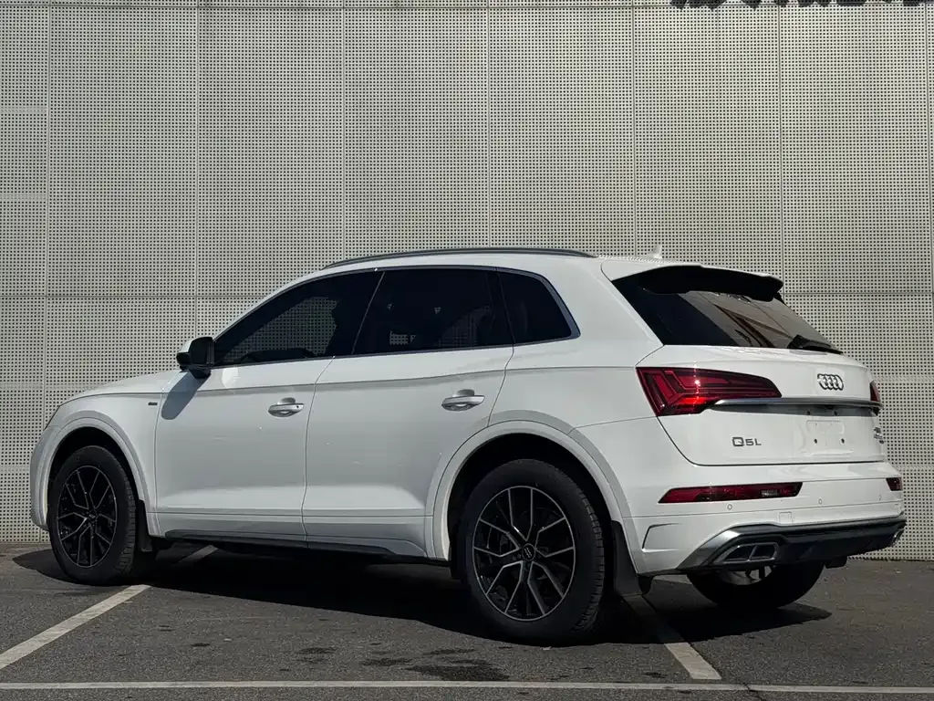 Audi Q5L 2023 из CN, фото 4