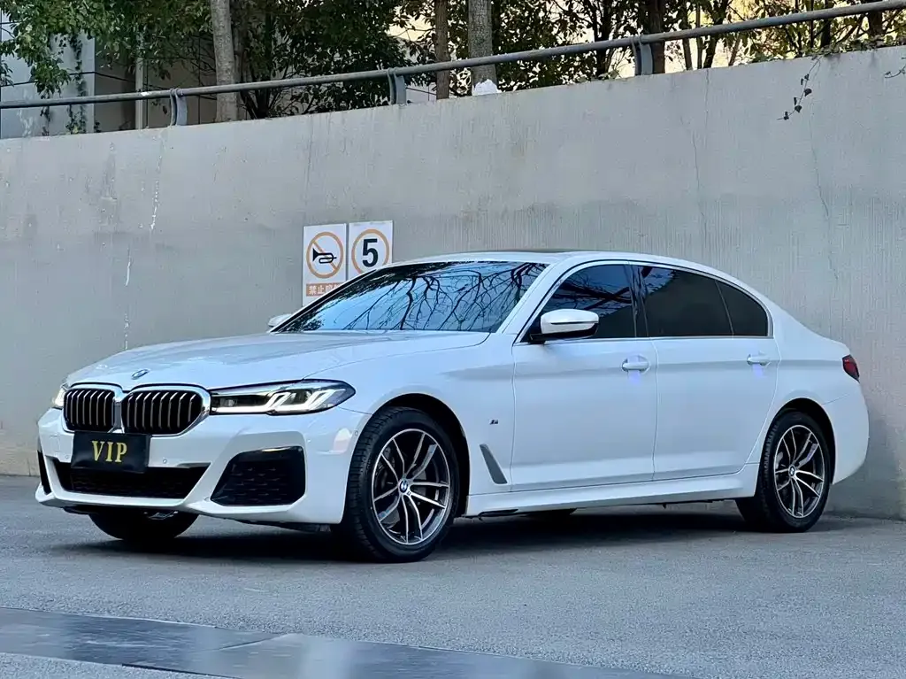 BMW 5 Series 2023 из CN, фото 1