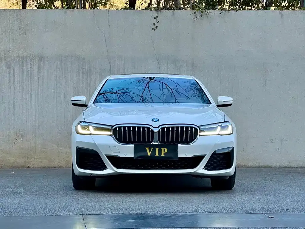 BMW 5 Series 2023 из CN, фото 2