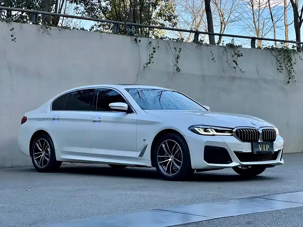 BMW 5 Series 2023 из CN, фото 10