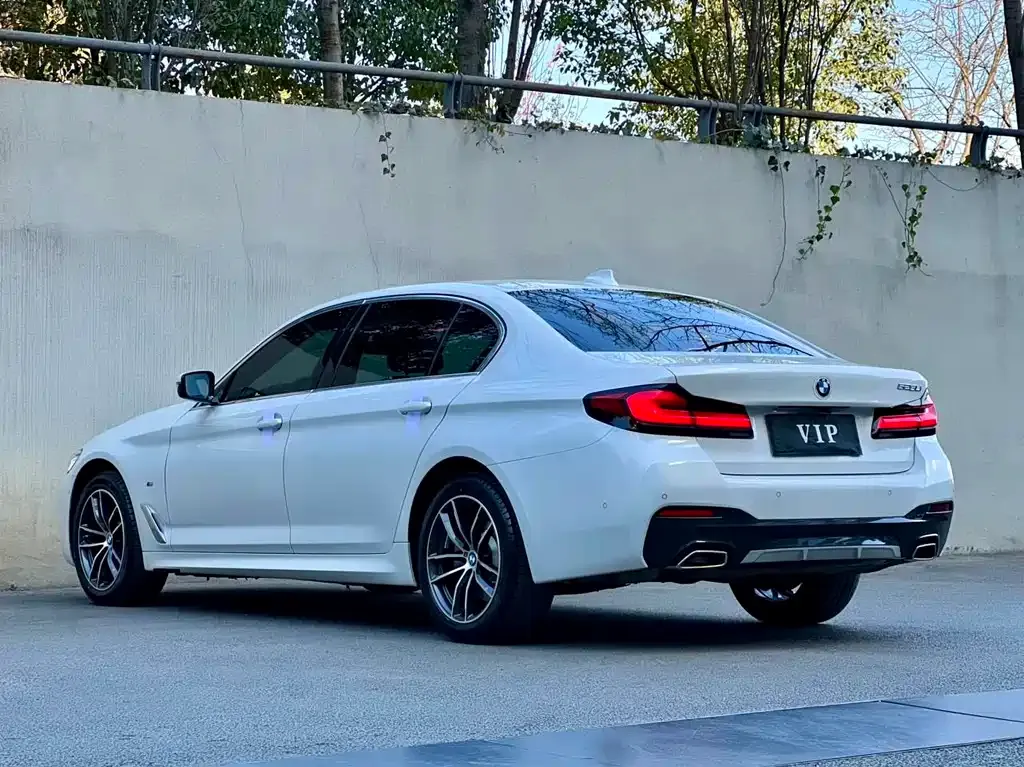 BMW 5 Series 2023 из CN, фото 9