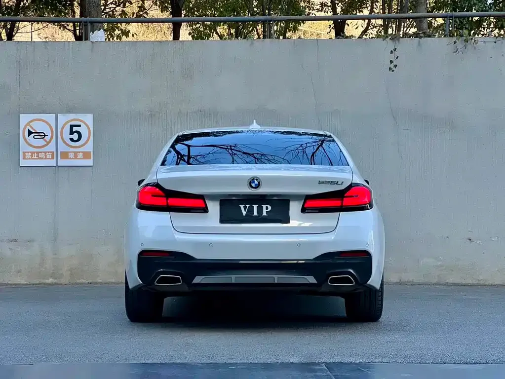 BMW 5 Series 2023 из CN, фото 7