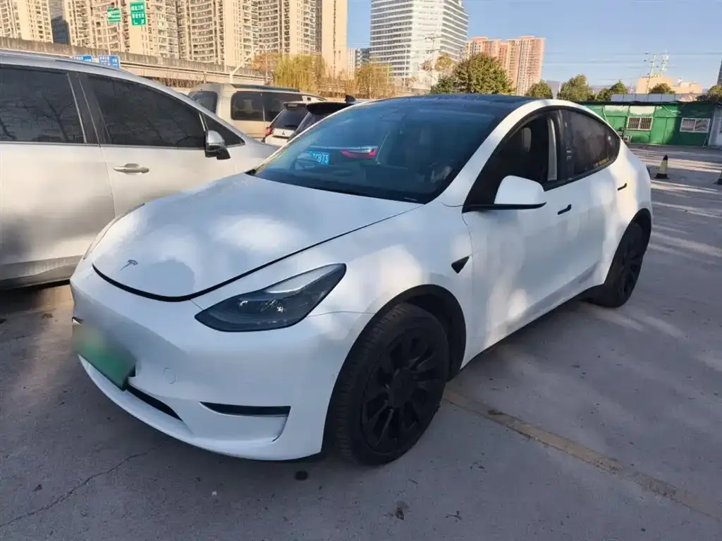 Tesla Model Y 2023 из CN, фото 4