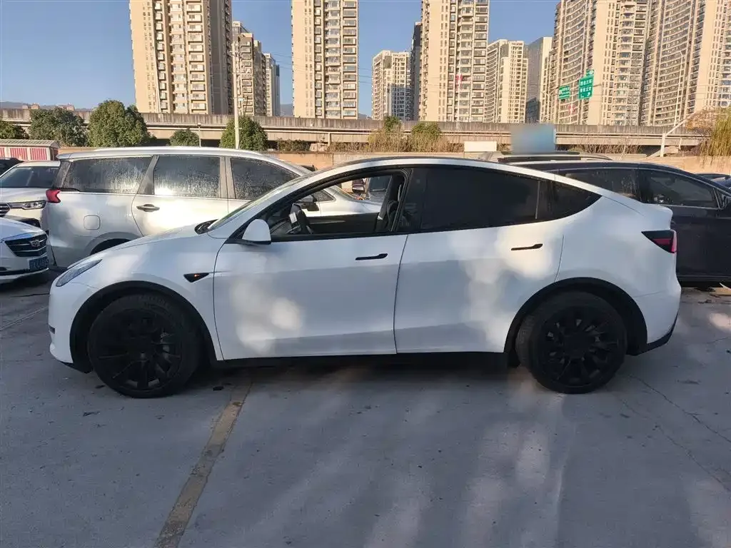 Tesla Model Y 2023 из CN, фото 6