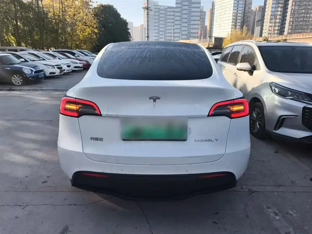 Tesla Model Y 2023 из CN, фото 8