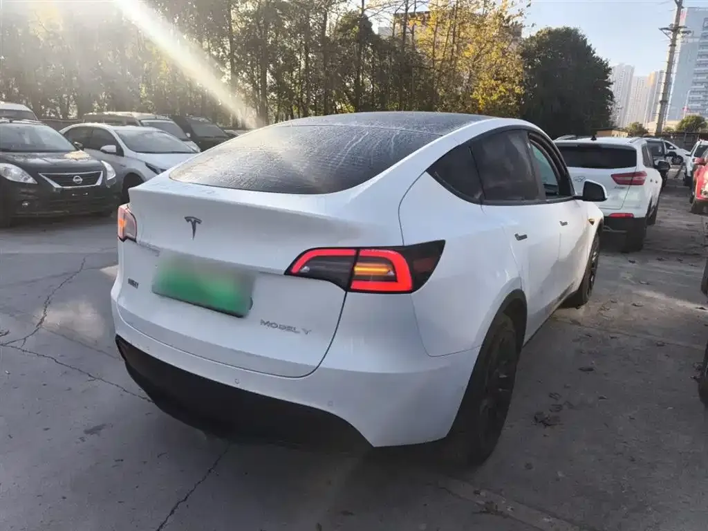 Tesla Model Y 2023 из CN, фото 9