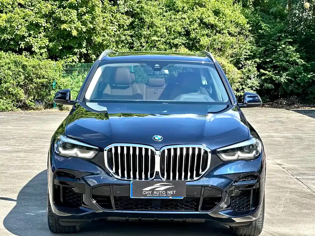 BMW X5 (Import) 2022 из CN, фото 8