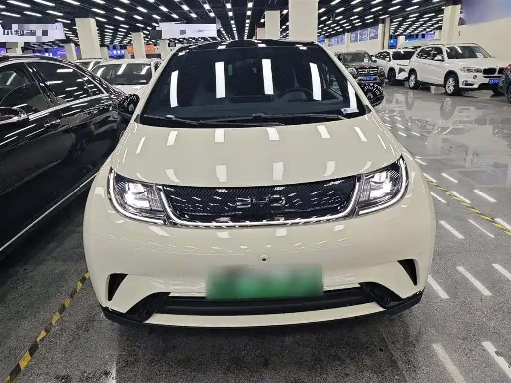 BYD Dolphin 2025 из CN, фото 3