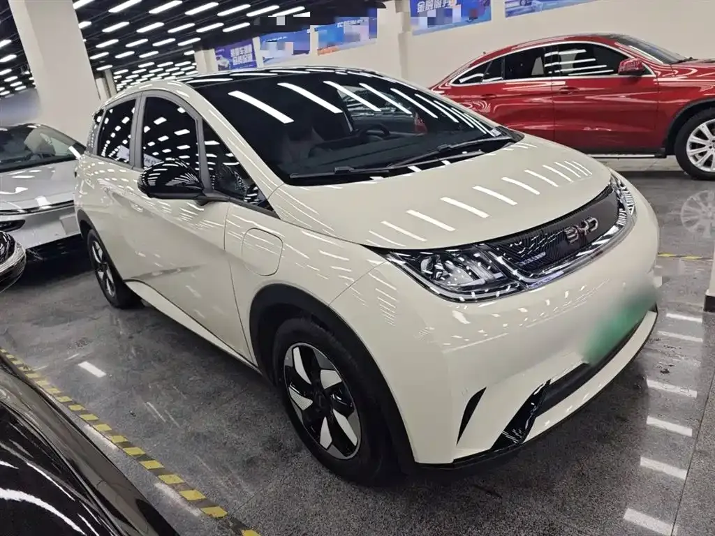 BYD Dolphin 2025 из CN, фото 4