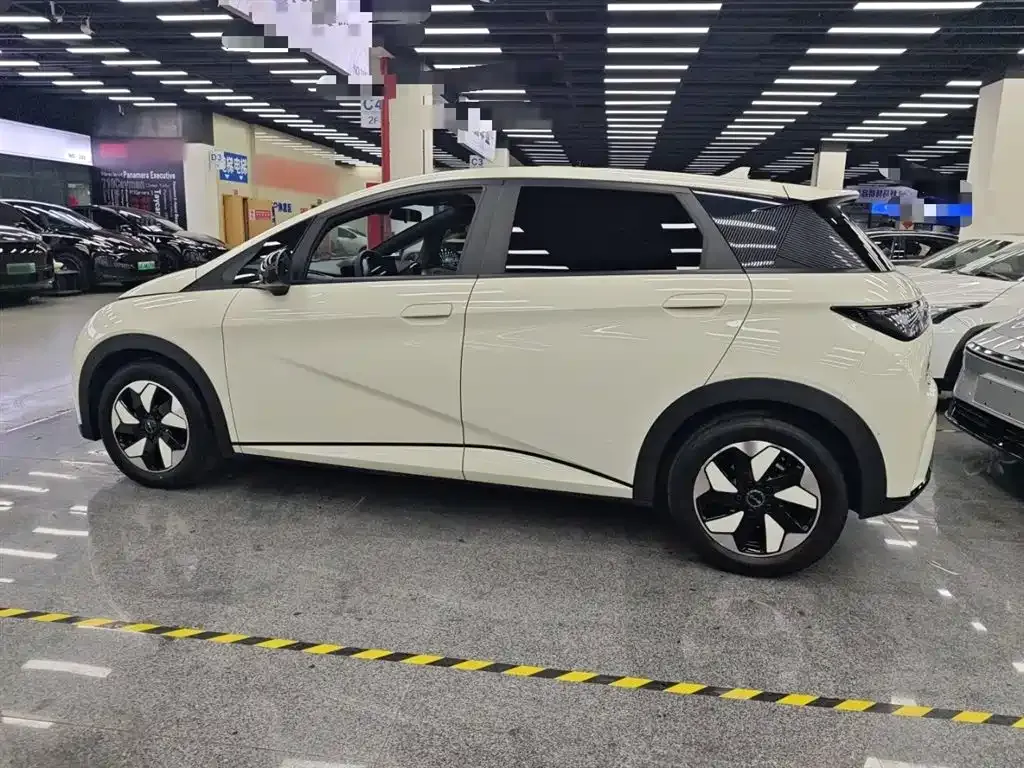 BYD Dolphin 2025 из CN, фото 5