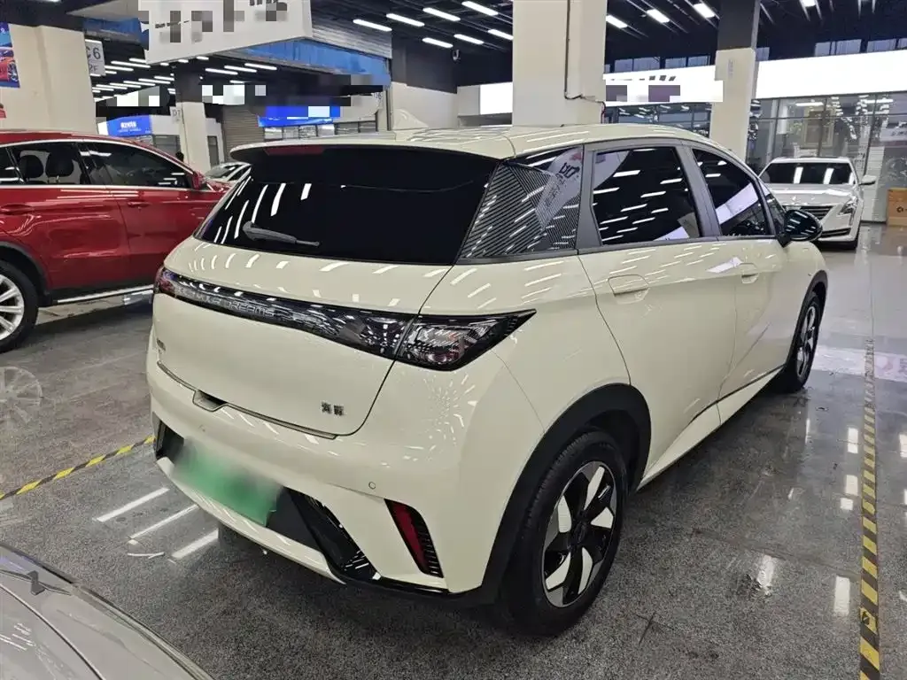 BYD Dolphin 2025 из CN, фото 7
