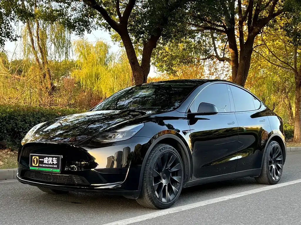 Tesla Model Y — фото 1