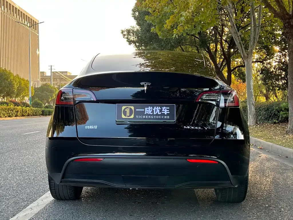 Tesla Model Y — фото 2