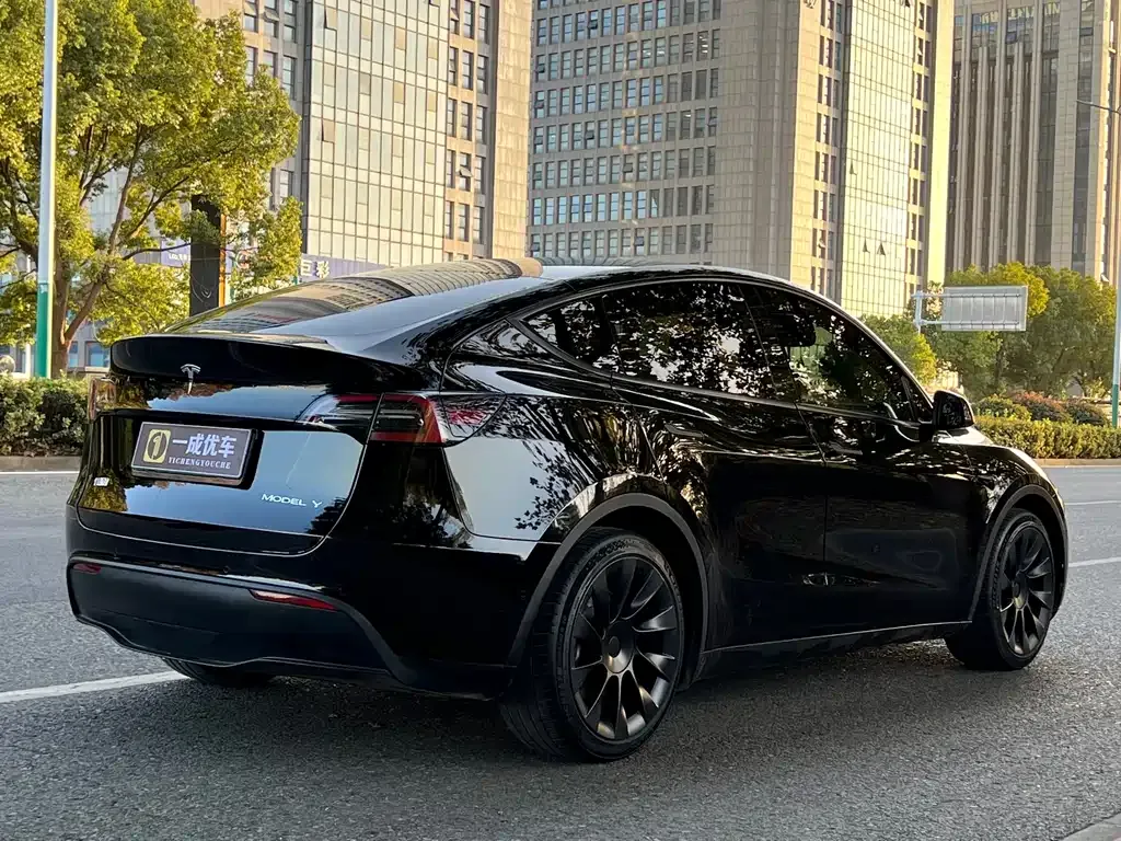Tesla Model Y — фото 8