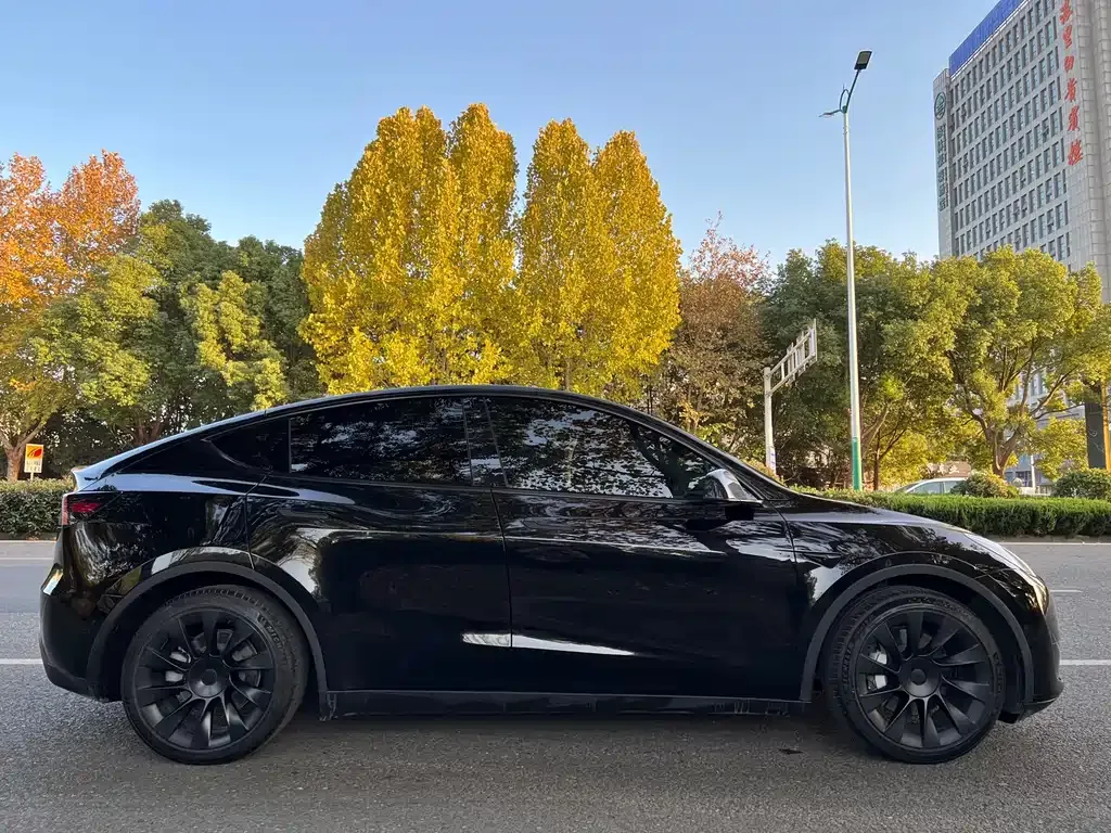 Tesla Model Y — фото 9