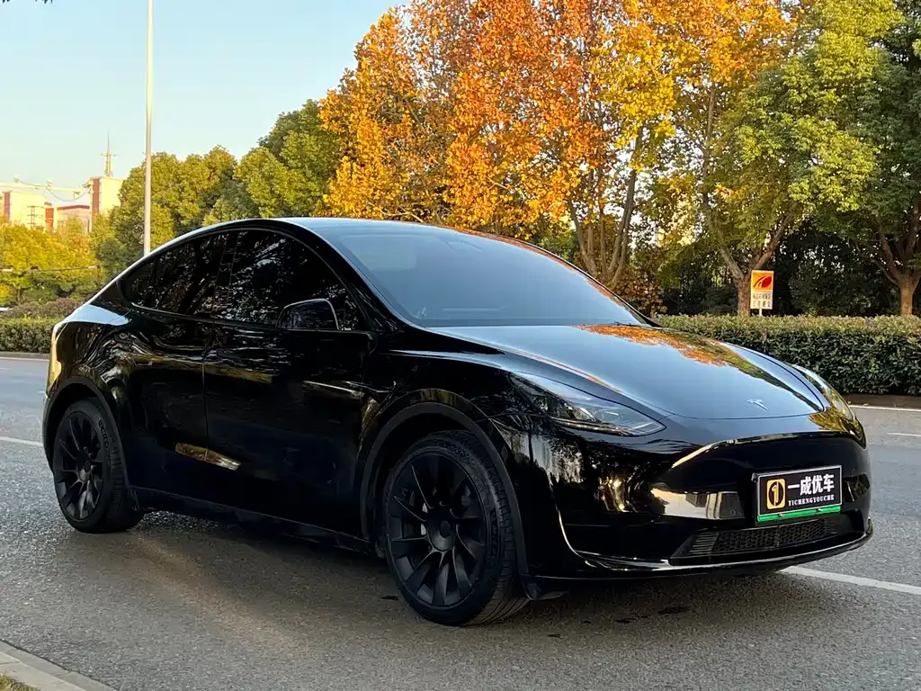 Tesla Model Y — фото 10